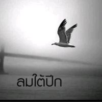 เสียงต้นฉบับ - คนเช็ดเงา
