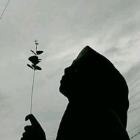 deardirisendiri115