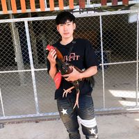 sitthichai_12340