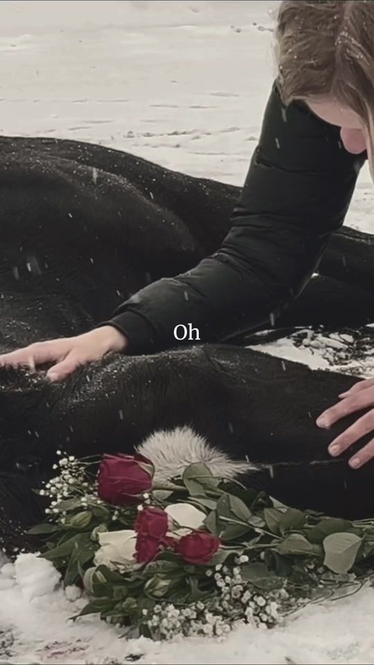TikTok video thumbnail by tildelofvanderr