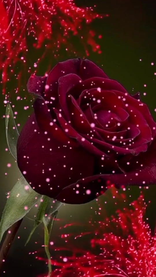 TikTok video thumbnail by evahorvat1966