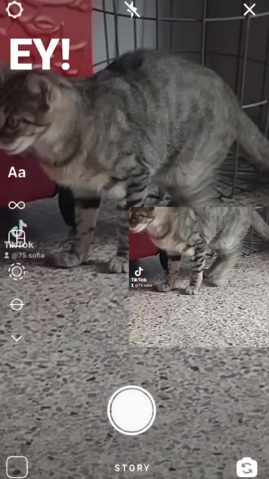 TikTok video thumbnail by 75.sofia