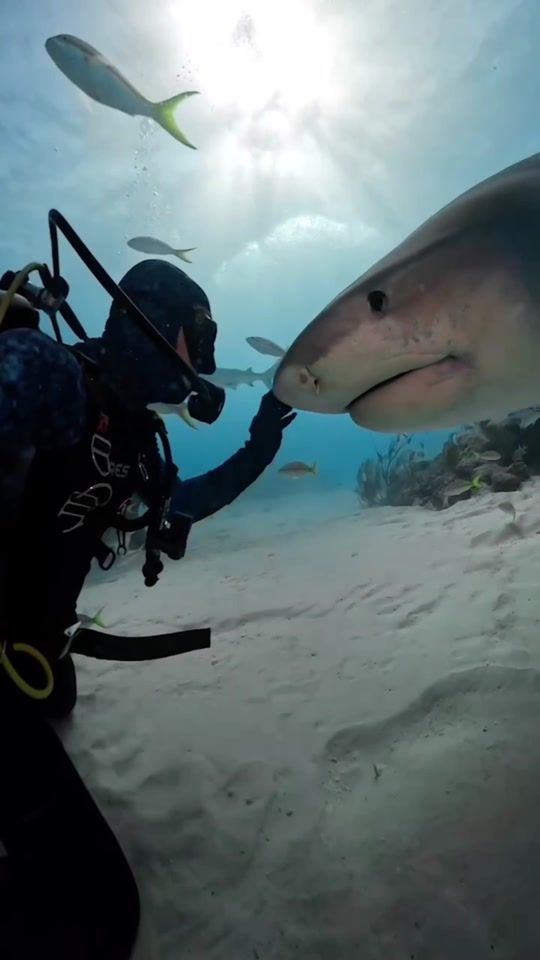 TikTok video thumbnail by naturemagic82