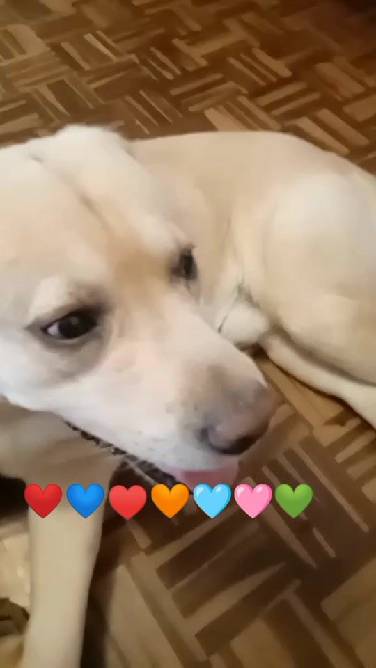 TikTok video thumbnail by antonioserafini09