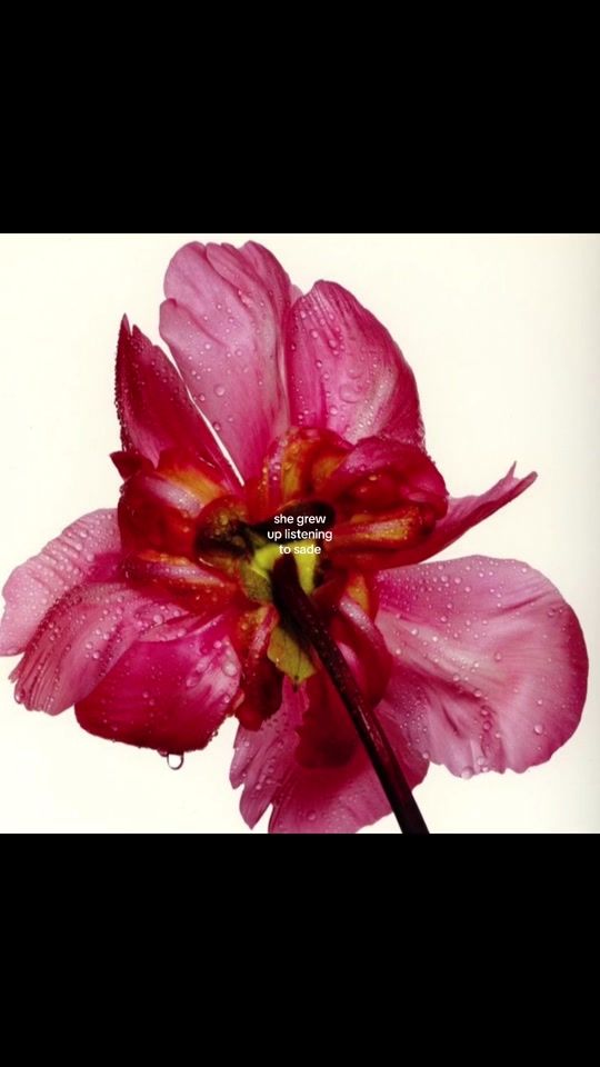 TikTok video thumbnail by stargirlmoodboard