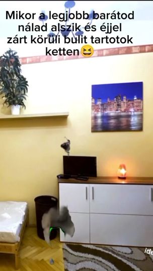 TikTok video thumbnail by idezetek.haza.1