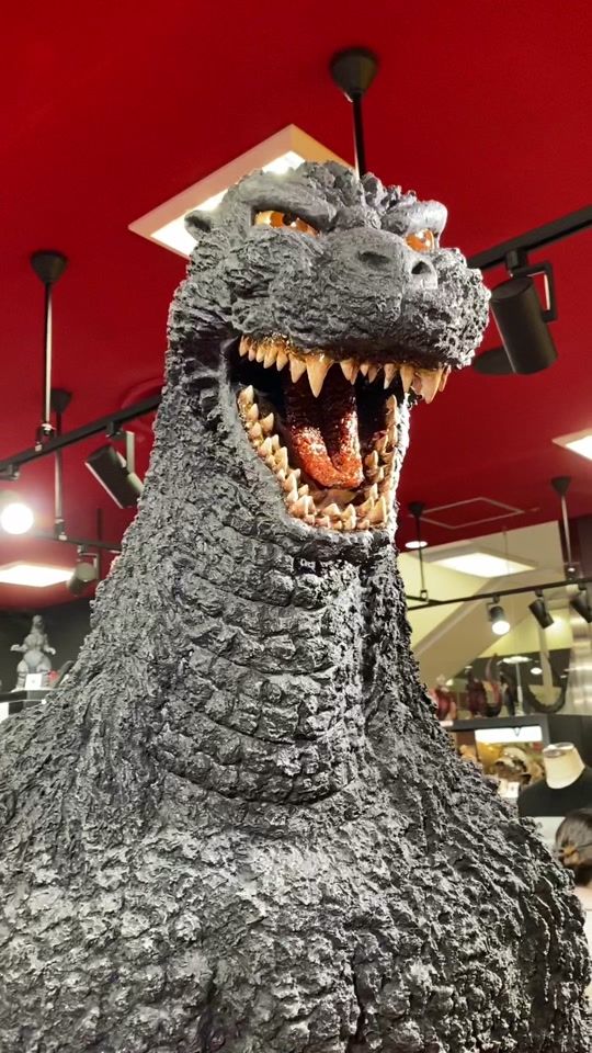 TikTok video thumbnail by japanspirited80