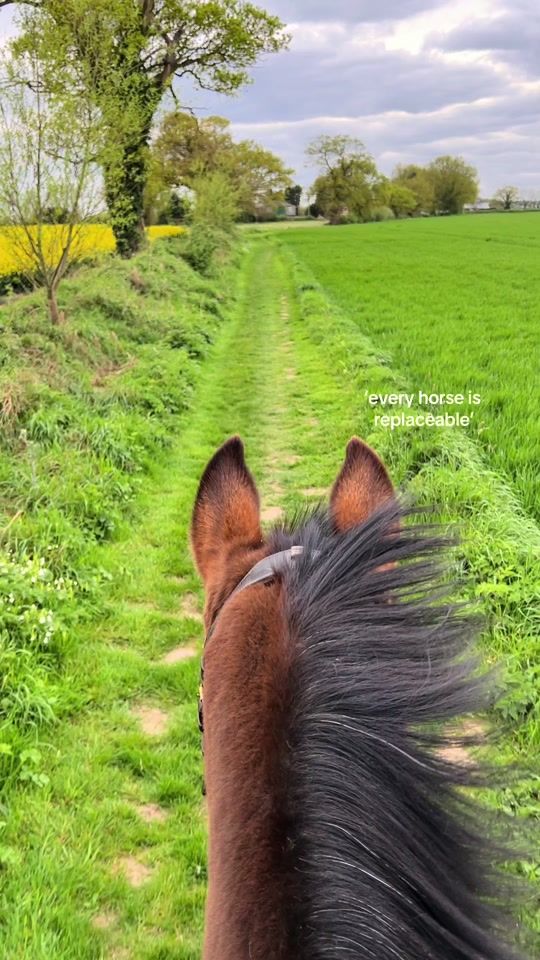 TikTok video thumbnail by gracee.eqxx