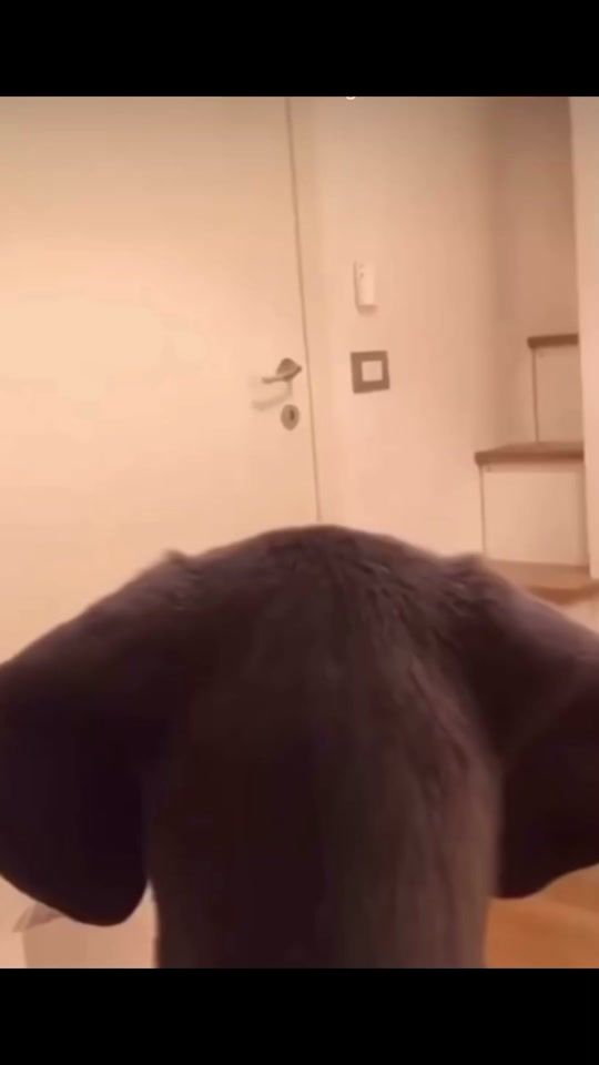 TikTok video thumbnail by sufletzelll