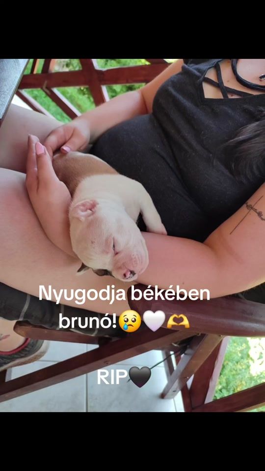 TikTok video thumbnail by m.gyula