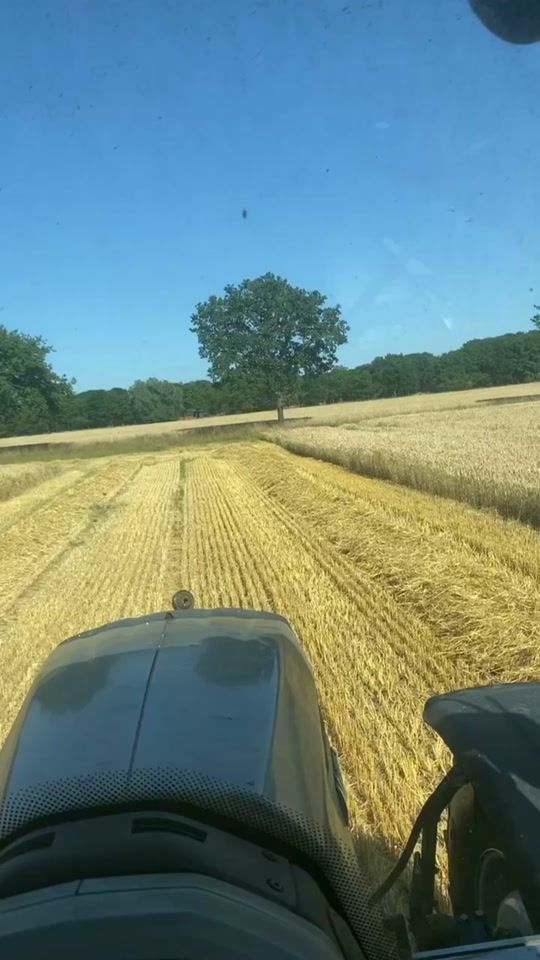 TikTok video thumbnail by lucasellerkamp