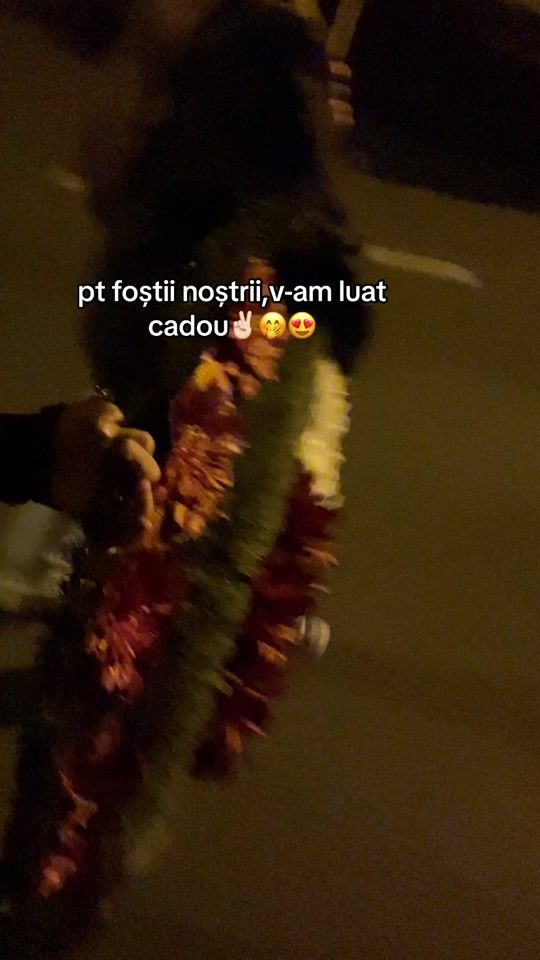 TikTok video thumbnail by alee.246