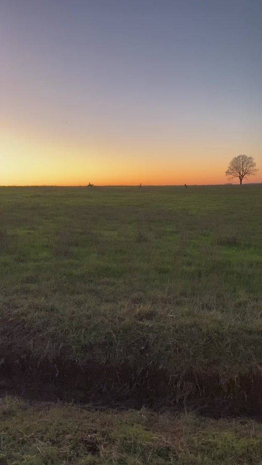 TikTok video thumbnail by passion_chasse.pf