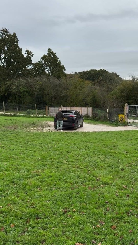 TikTok video thumbnail by rickydanielmartin