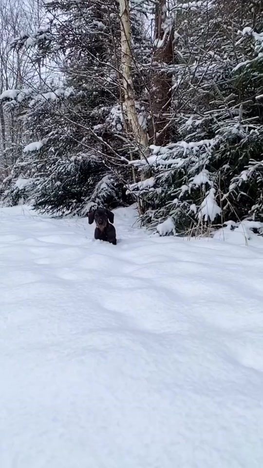 TikTok video thumbnail by eniiiena