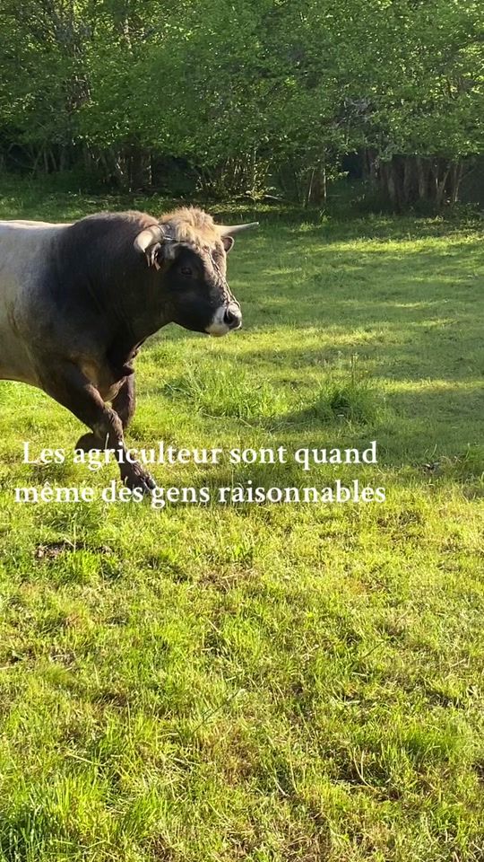 TikTok video thumbnail by la.ferme.du.48