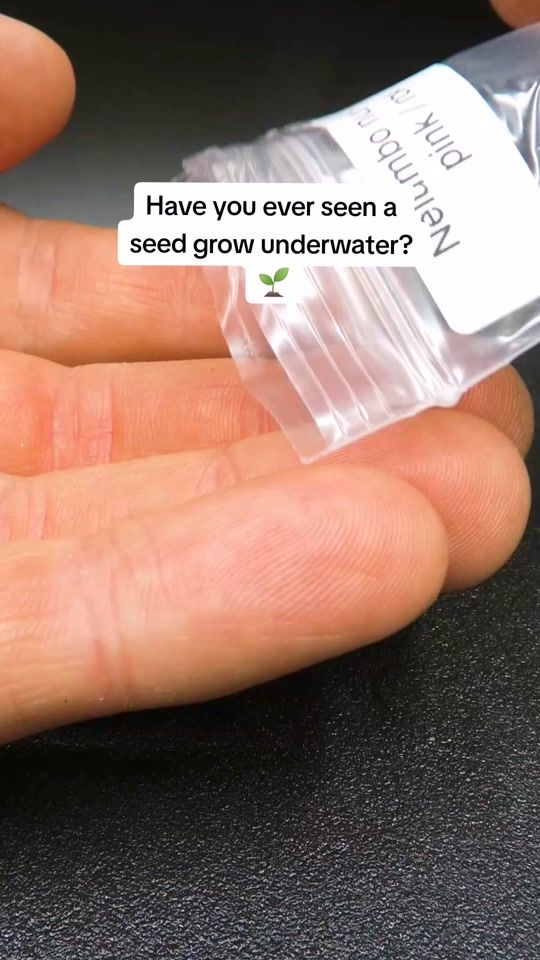 TikTok video thumbnail by boxlapseplus