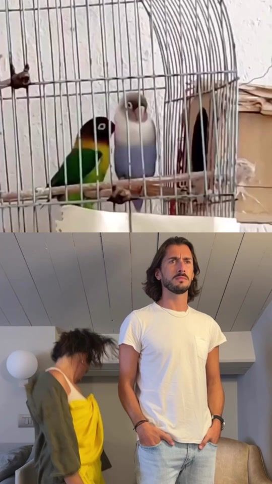 TikTok video thumbnail by iamlucagervasi