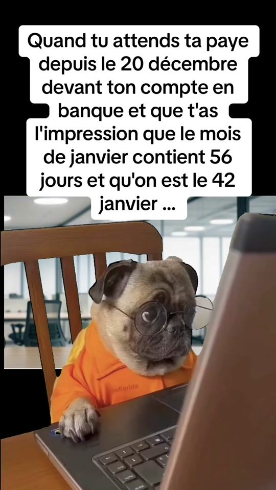 TikTok video thumbnail by fun_humour_rire