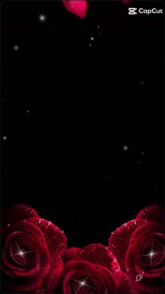 TikTok video thumbnail by noraduarte13