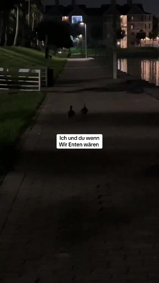 TikTok video thumbnail by eddin717