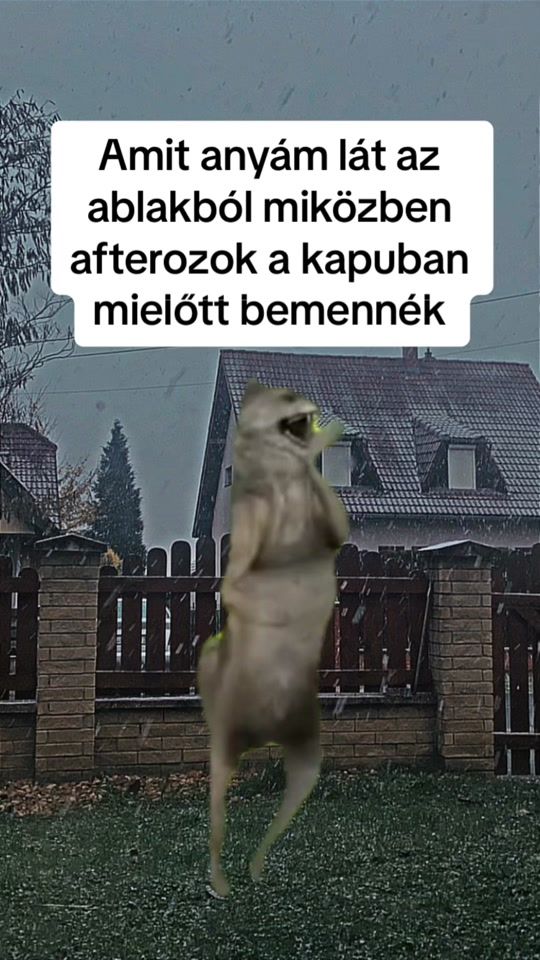 TikTok video thumbnail by somogyi_aniko