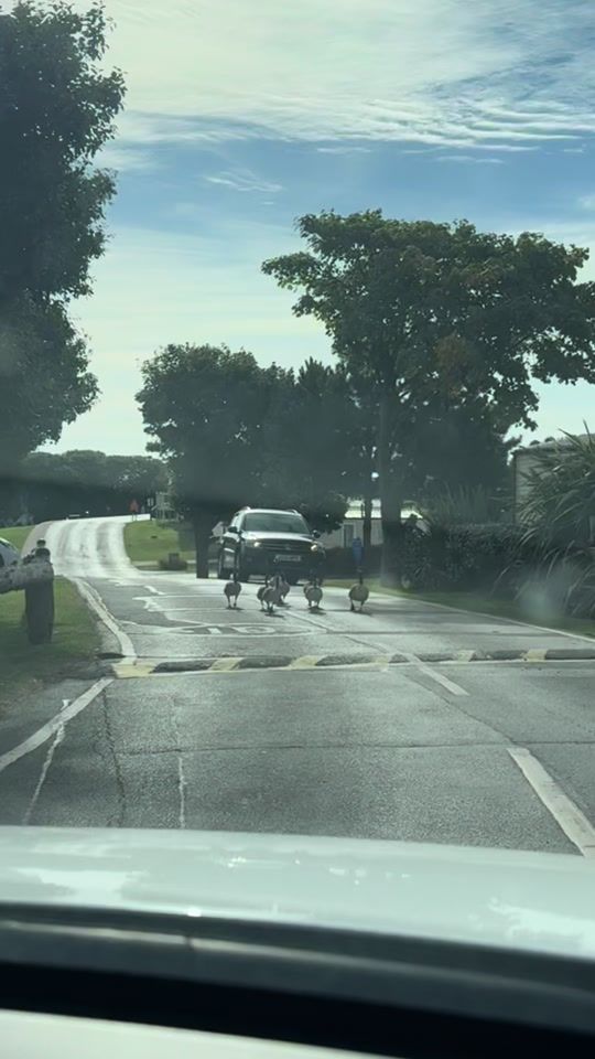 TikTok video thumbnail by kayinsane