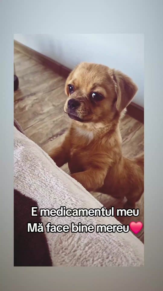 TikTok video thumbnail by mihaelaaa118