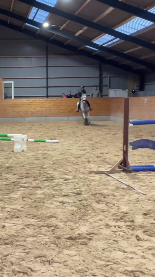 TikTok video thumbnail by luisaa_equestrian