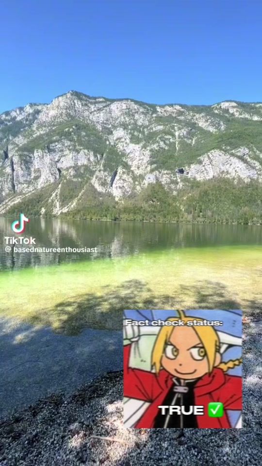 TikTok video thumbnail by pine_c0ne.com