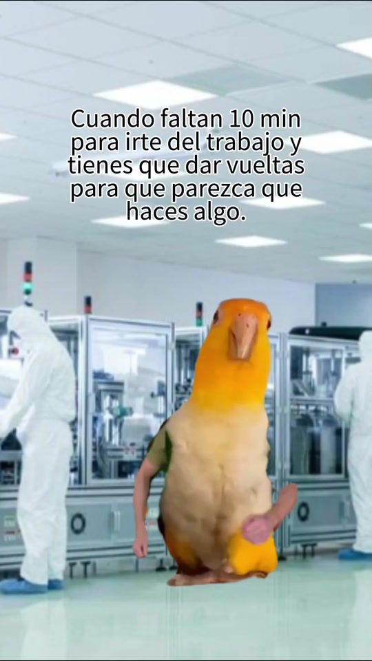 TikTok video thumbnail by jose2922