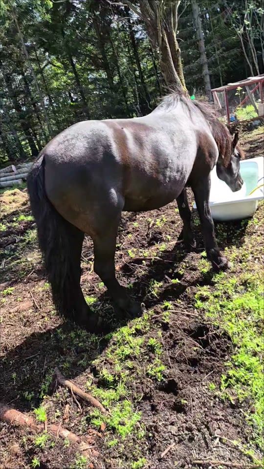 TikTok video thumbnail by luckydream090397