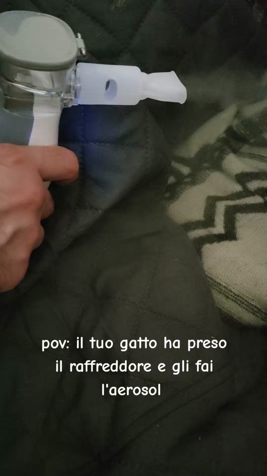 TikTok video thumbnail by nauss98