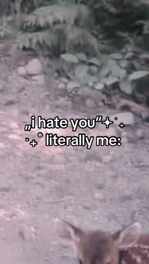 TikTok video thumbnail by wcndcrland