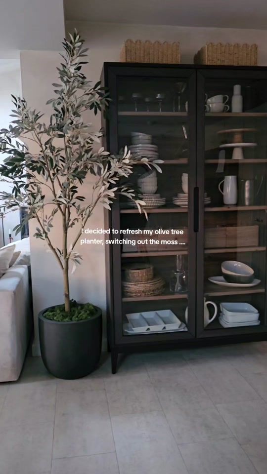 TikTok video thumbnail by foreverhome_no1