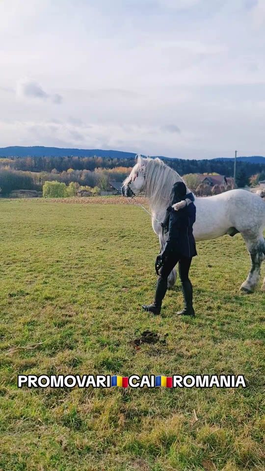 TikTok video thumbnail by promovari.cai.romania