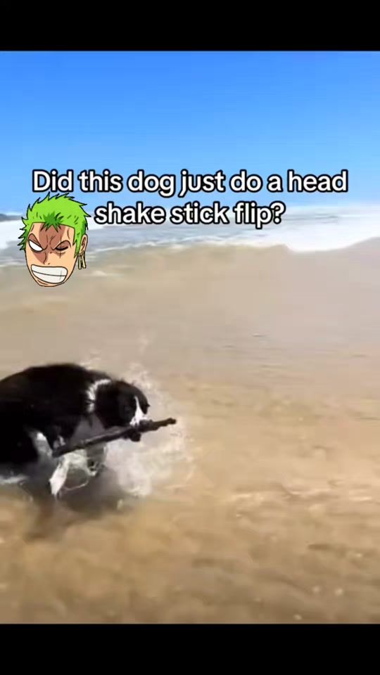 TikTok video thumbnail by memes.originales.365