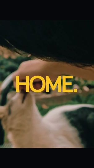 TikTok video thumbnail by ciucyii