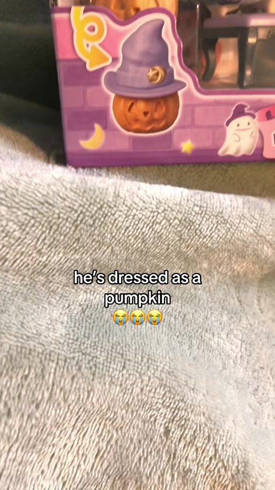 TikTok video thumbnail by sylvaniancorner