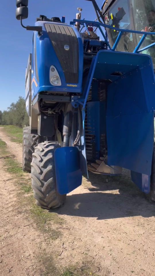 TikTok video thumbnail by riccard502