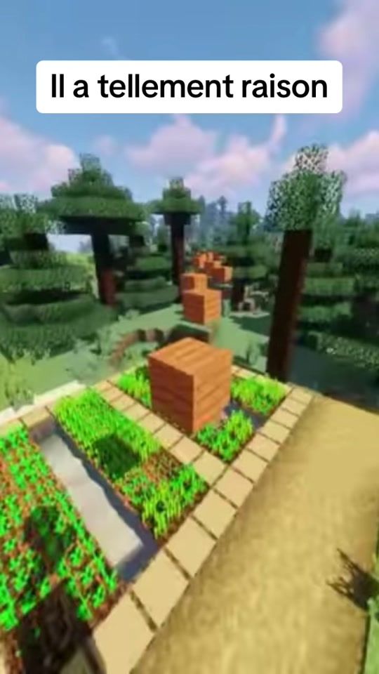 TikTok video thumbnail by licha.860