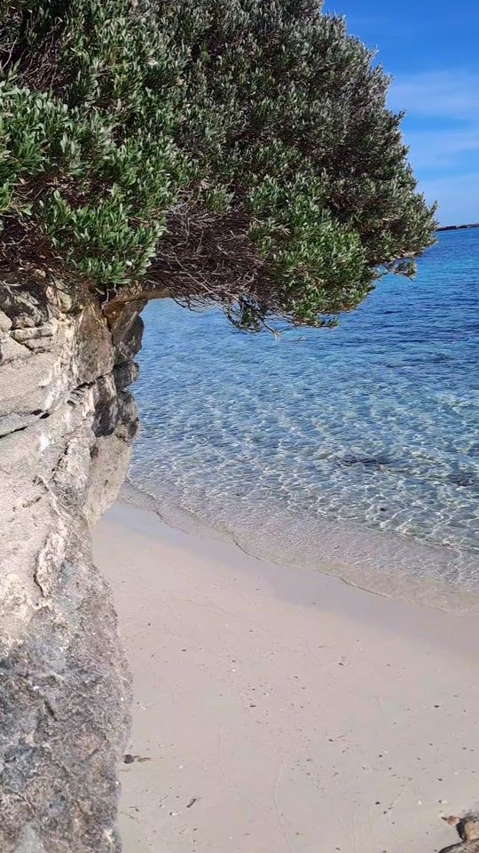 TikTok video thumbnail by glomercurio