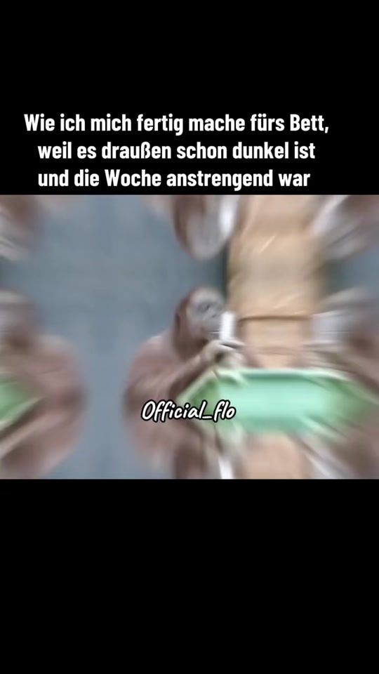 TikTok video thumbnail by jp.tierversicherung