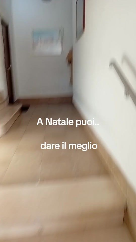 TikTok video thumbnail by paky_kore