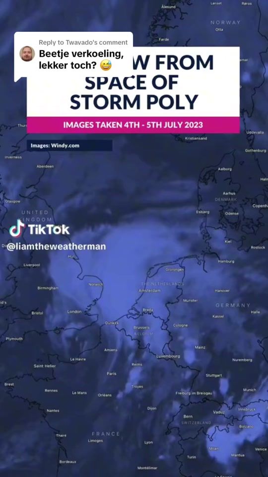 TikTok video thumbnail by asmrdragonfly