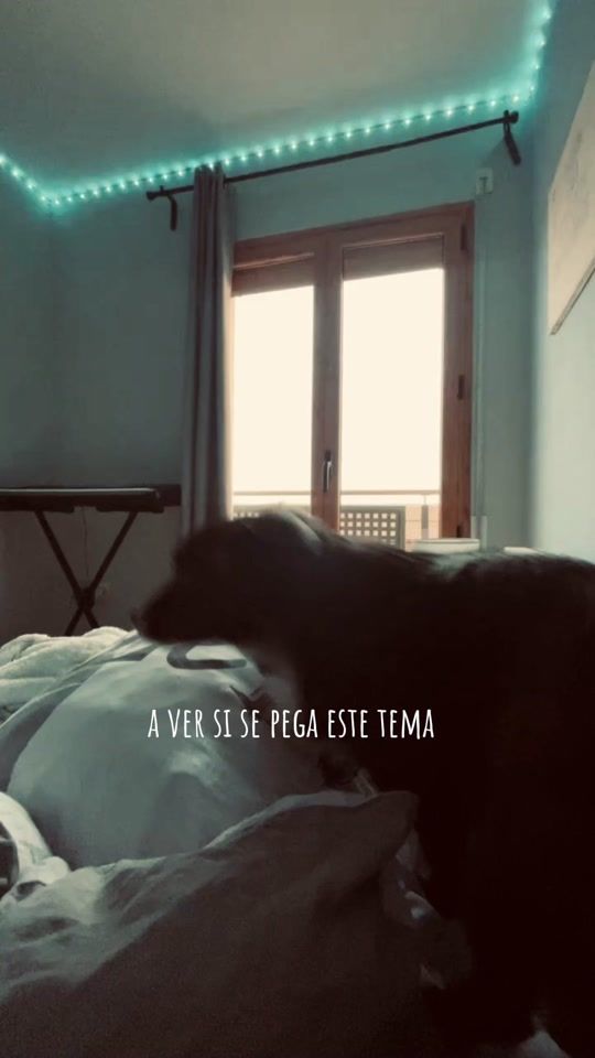 TikTok video thumbnail by usersssofi1702