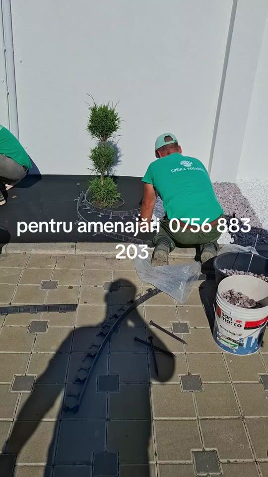 TikTok video thumbnail by cosula.tpeisagist