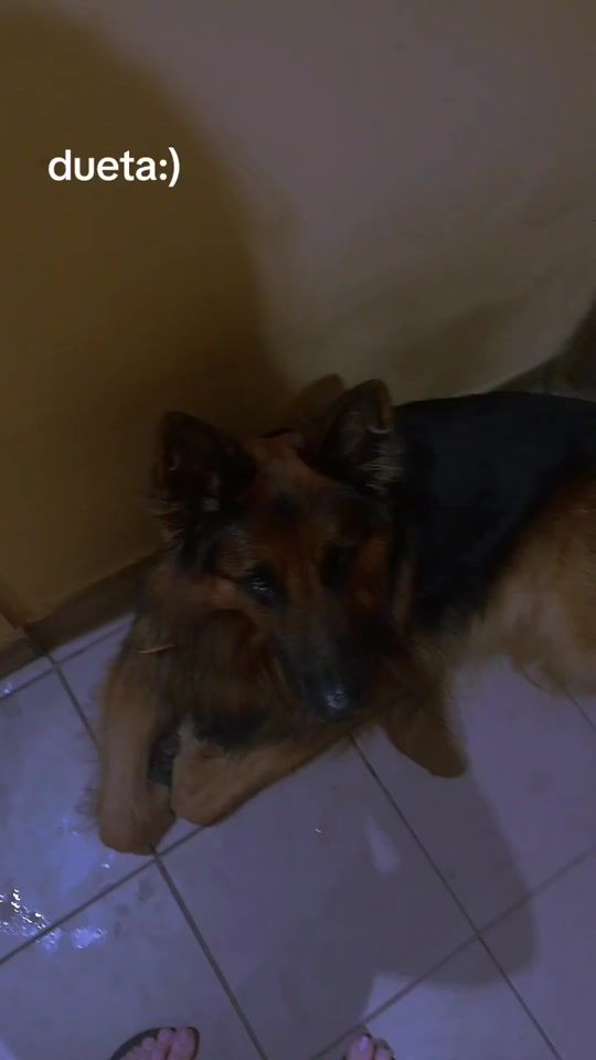 TikTok video thumbnail by brutus14444