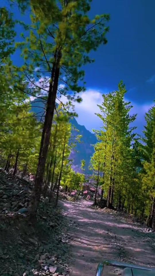 TikTok video thumbnail by georgelaw4