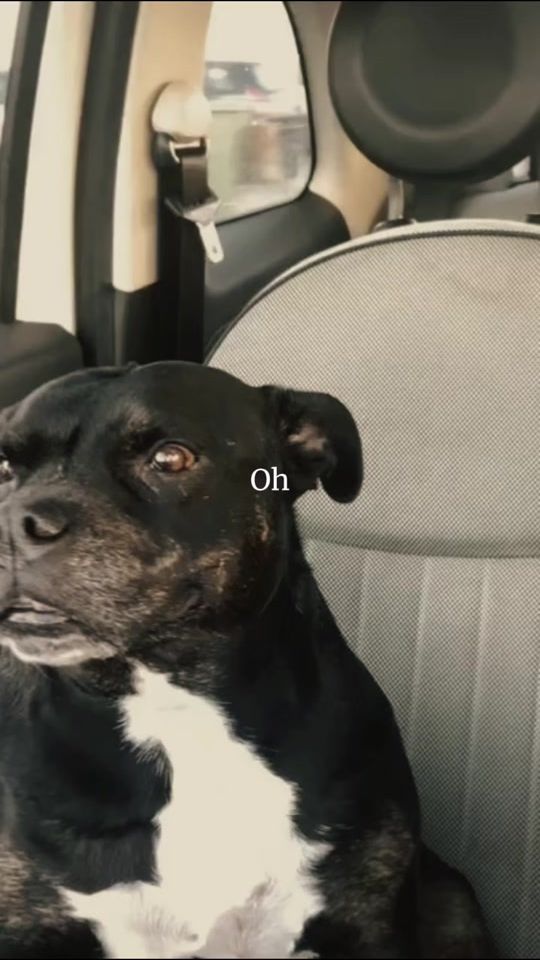 TikTok video thumbnail by tyler81111
